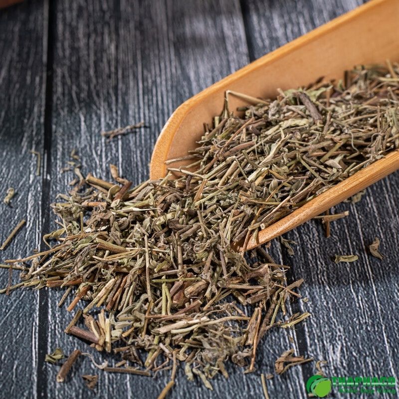 Dùng lá hương nhu gội đầu 