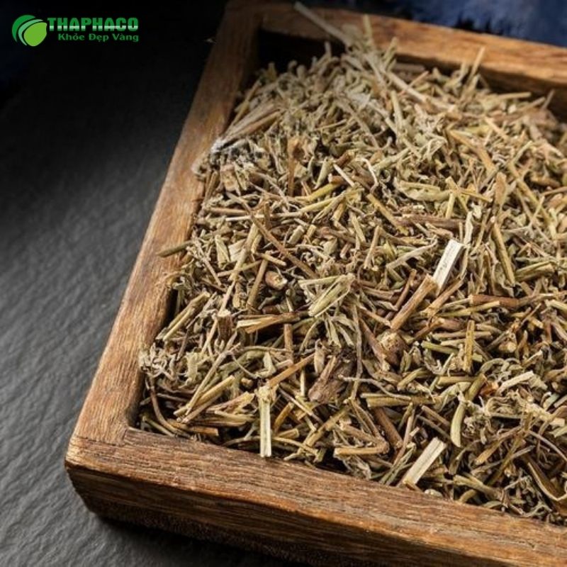 Mua lá hương nhu xông giải cảm 