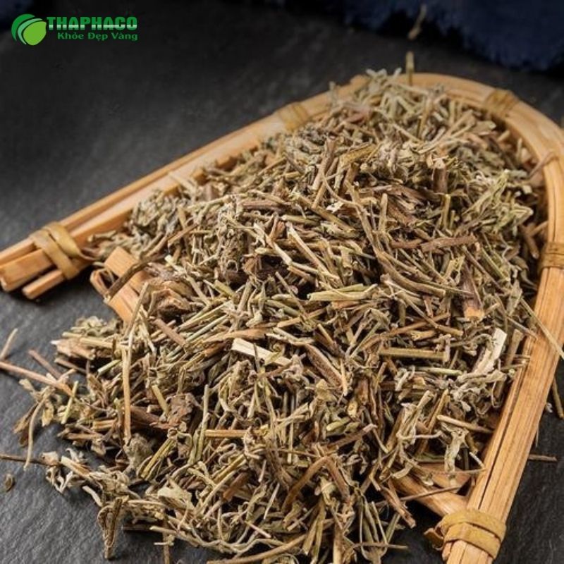 Lá hương nhu chất lượng tại TP.HCM 