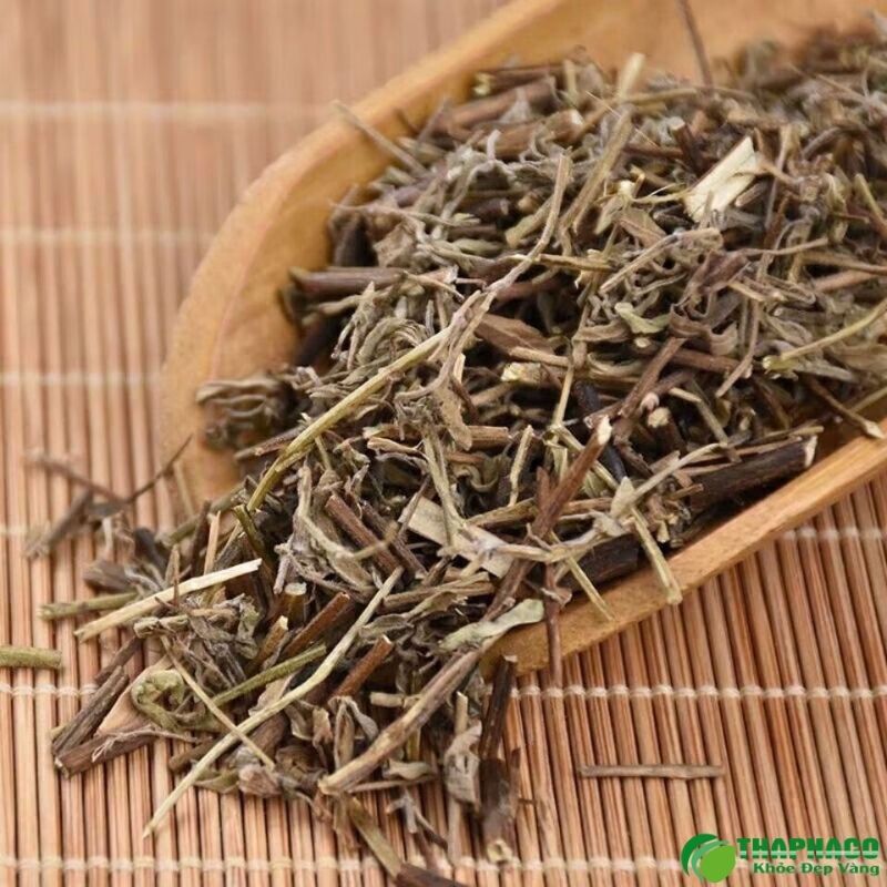 Gợi ý địa chỉ bán hương nhu uy tín tại TP.HCM 