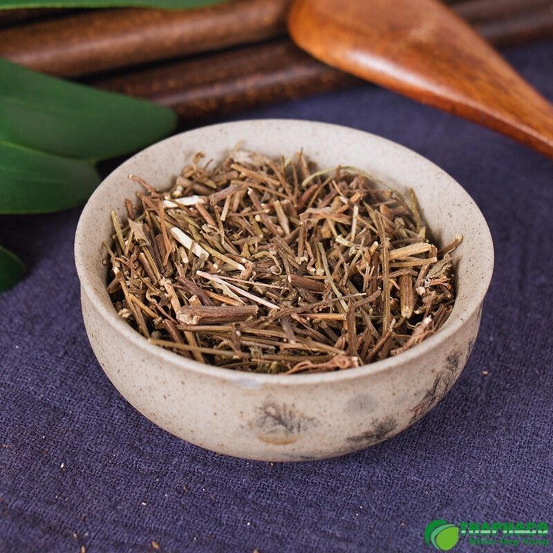 Cây hương nhu mọc nhiều ở đâu