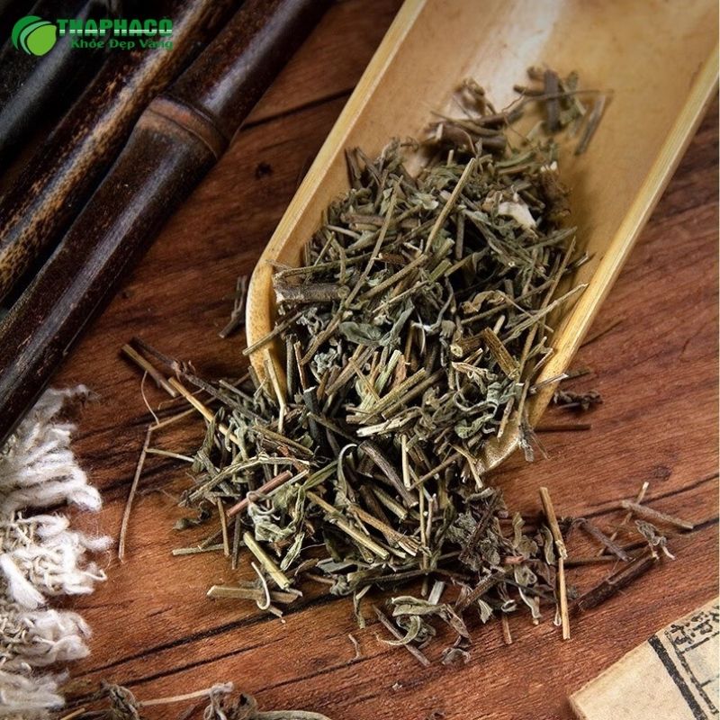 Cây hương nhu mọc nhiều ở Nghệ An, Thanh Hoá, Vĩnh Long