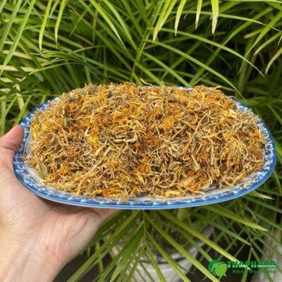 kim ngân hoa là gì, công dụng kim ngân hoa