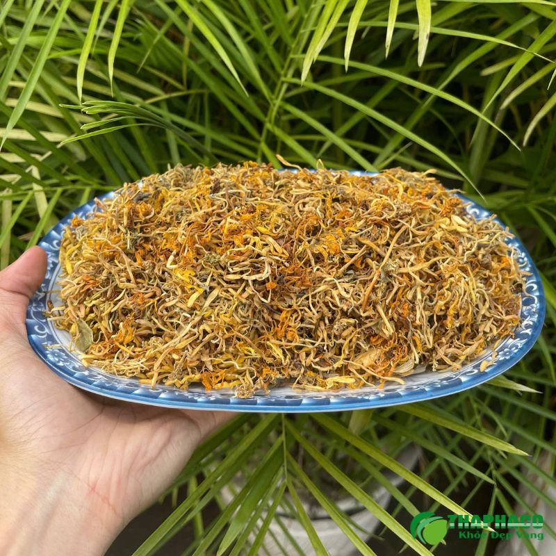 kim ngân hoa là gì, công dụng kim ngân hoa