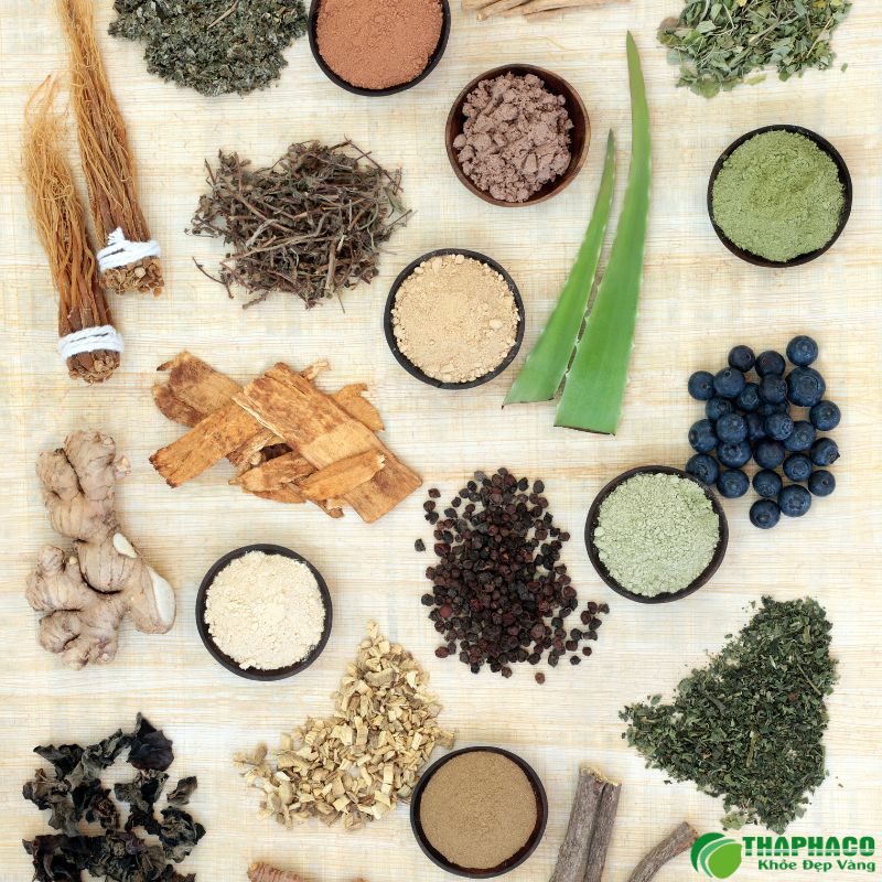 Mua nguyên liệu pha trà bổ máu tại TP.HCM