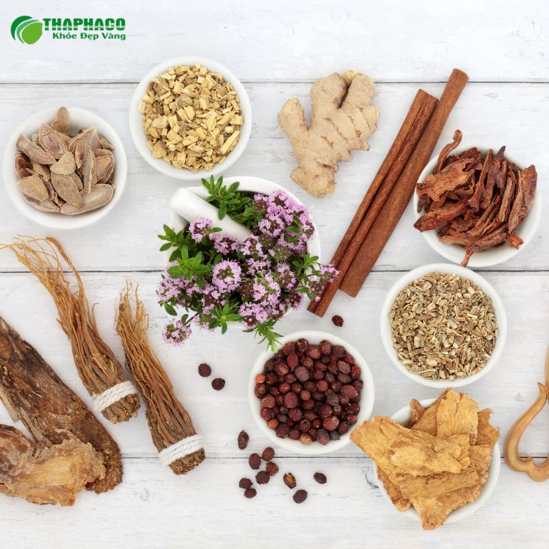 Bảng báo giá nguyên liệu pha trà bổ máu tại THAPHACO