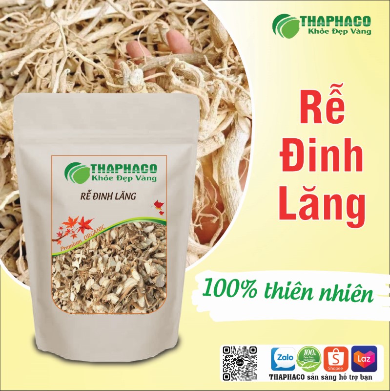 Nơi bán 1kg rễ đinh lăng sấy khô giá rẻ uy tín tại TP.HCM