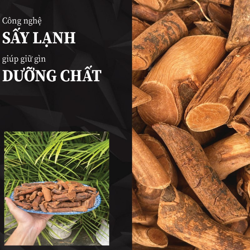 Túi 500g rễ mú từn sấy khô giá rẻ