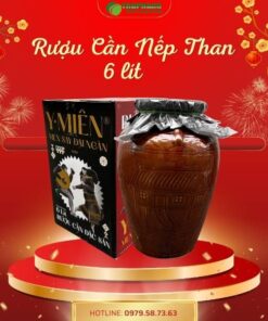 Mua rượu cần nếp than bình 6 lít giá rẻ tại TP.HCM