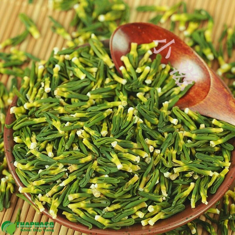 Cách uống trà tâm sen cho người cao huyết áp