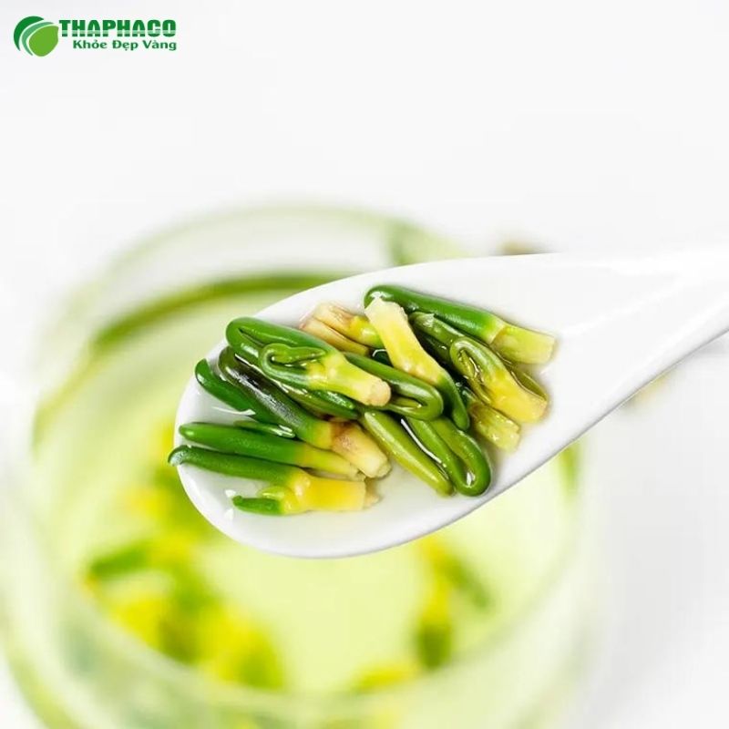 Mua trà tâm sen nguyên chất 