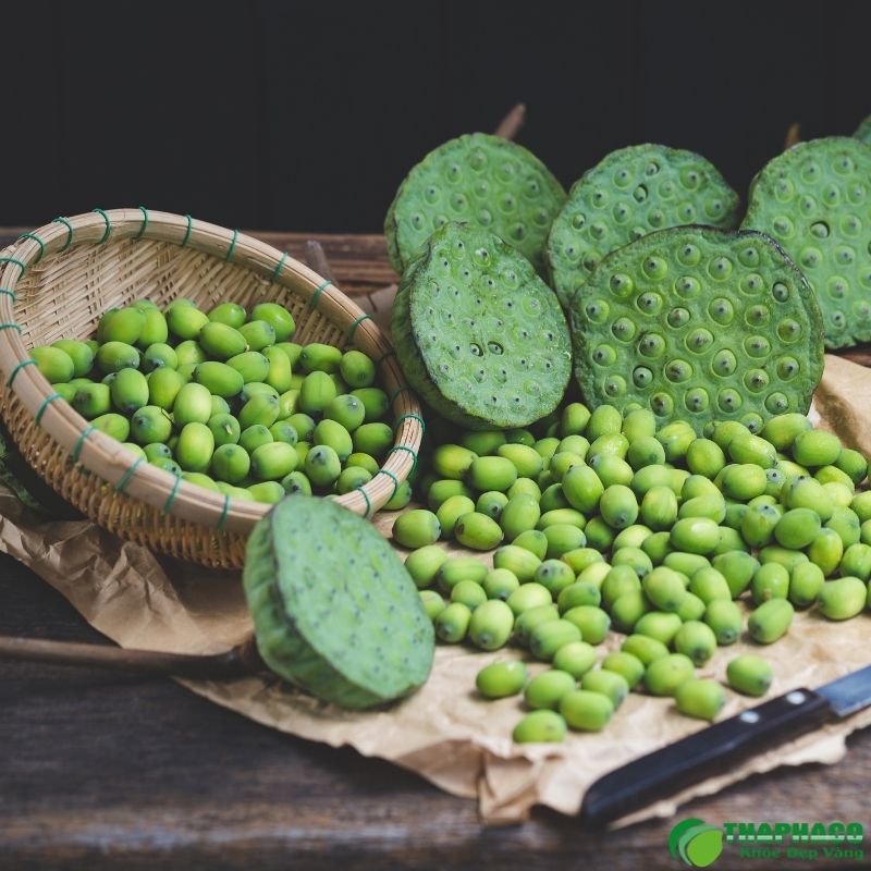 Tâm sen được thu hoạch như thế nào?