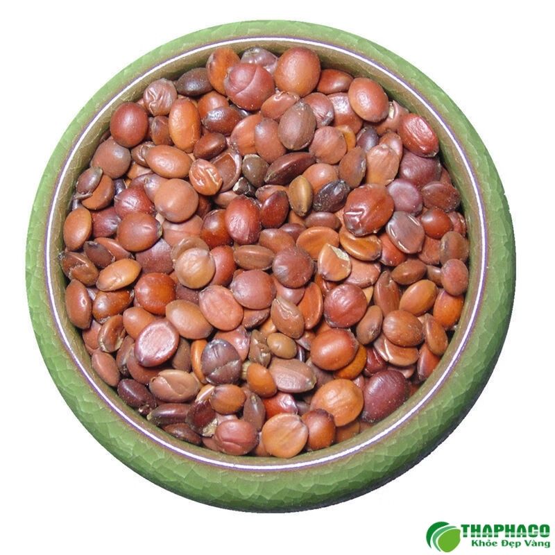 Toan táo nhân chất lượng tại TP.HCM