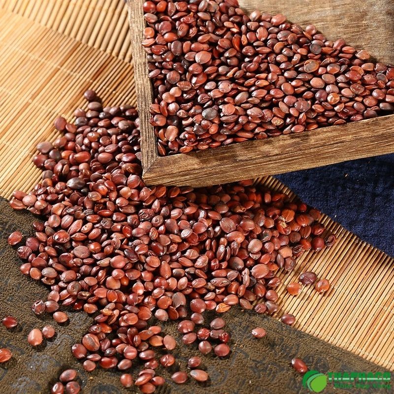 Toan táo nhân mua ở đâu?