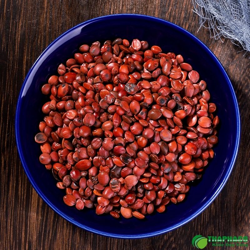 Cách sử dụng toan táo nhân trị mất ngủ tại nhà