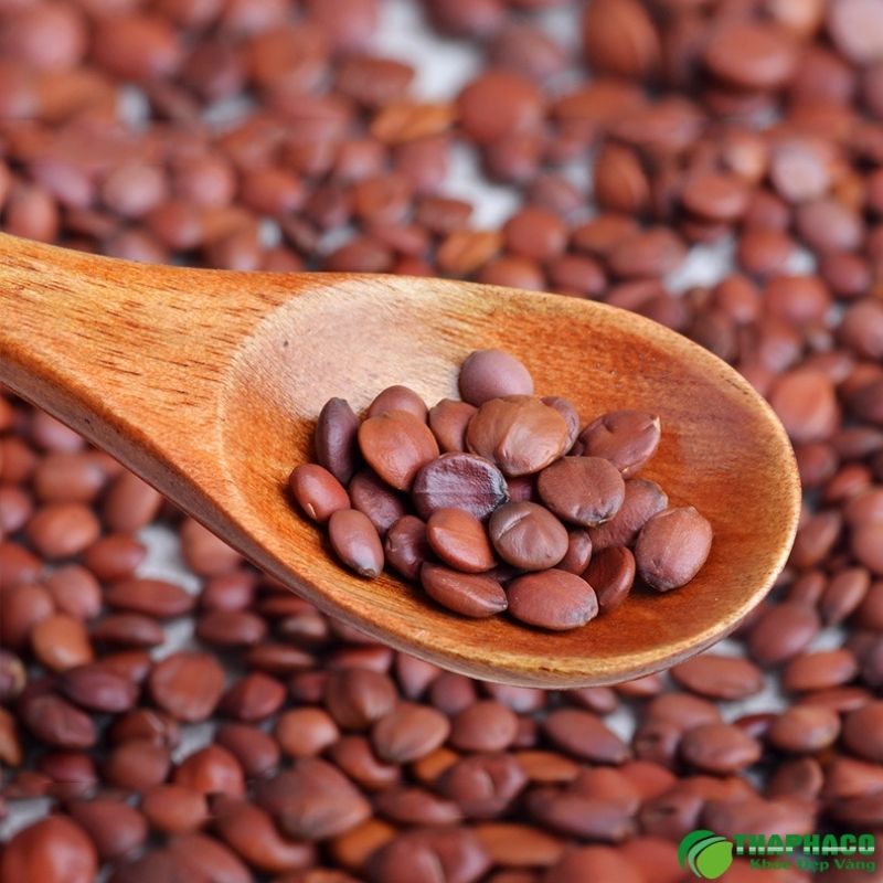 Toan táo nhân có tác dụng giúp ngủ ngon