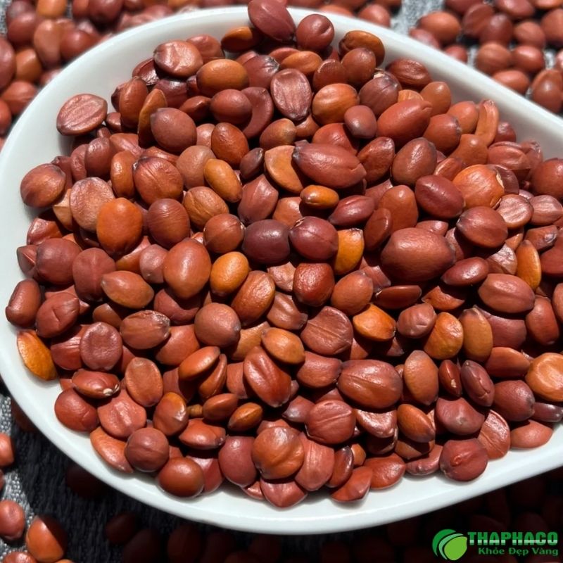 Vì sao toan táo nhân dùng cho người mất ngủ? 