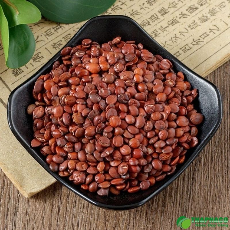 Lưu ý khi dùng toan táo nhân 