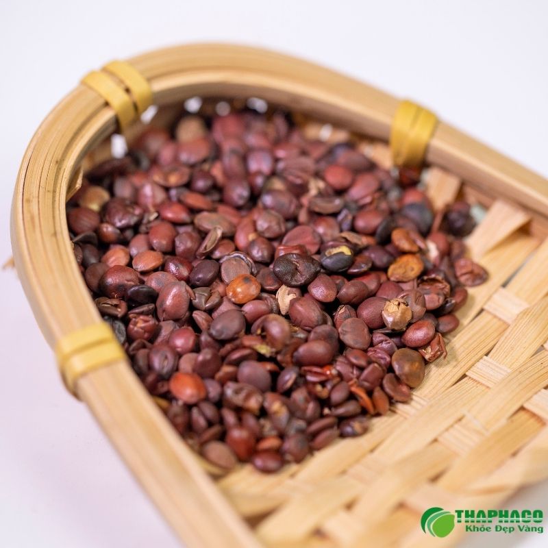 Toan táo nhân có công dụng gì?