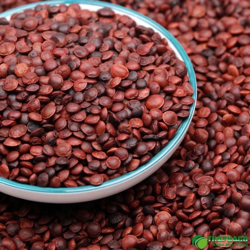 Nguyên nhân nào gây mất ngủ?