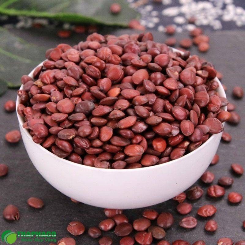 Toan táo nhân có thể hỗ trợ trị mất ngủ 