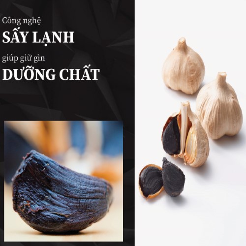 Mua 500g tỏi đen khô giá rẻ ở đâu?