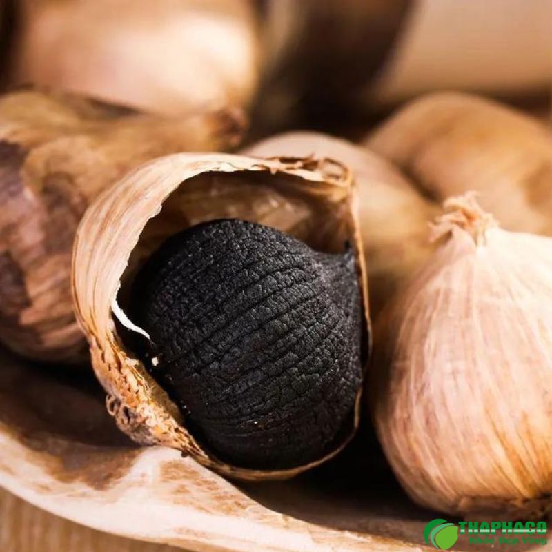 Mua tỏi đen khô tại TP.HCM 