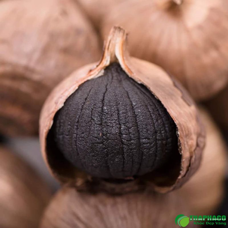 Tỏi đen khác gì tỏi thường?