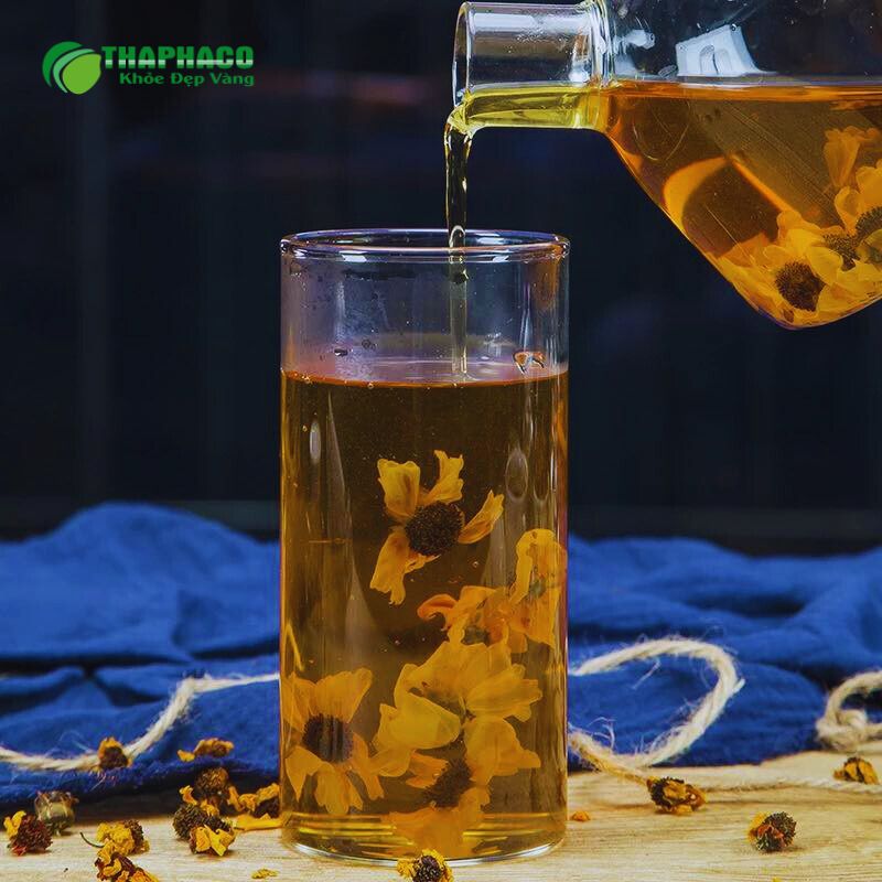 Tuyết cúc côn lôn chữa bệnh gì?