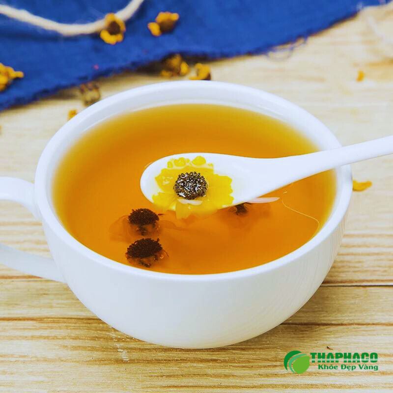 Tuyết cúc côn lôn là gì, chữa được bệnh gì