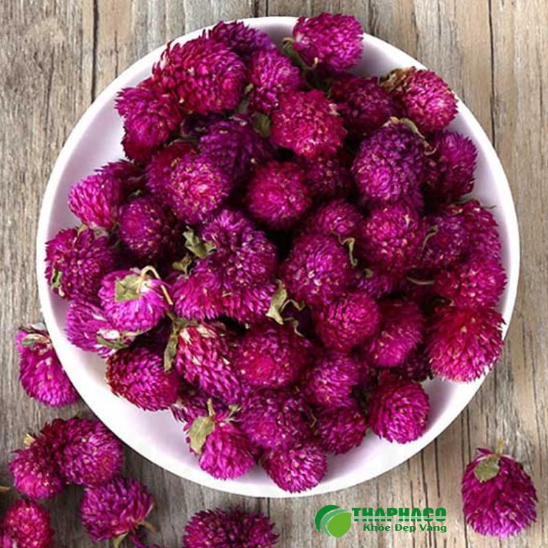 Ai không nên dùng Hoa Bách Nhật?