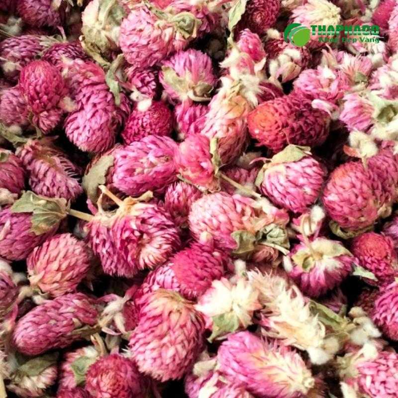 Hoa Bách Nhật khô sạch, nguyên chất được sấy lạnh theo công nghệ Thaphaco