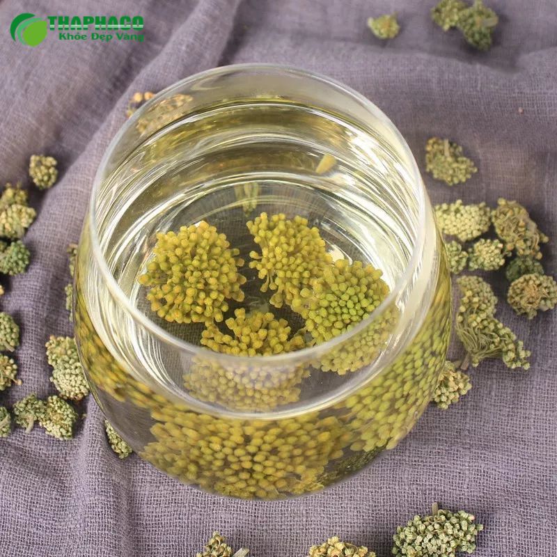 Nụ tam thất dùng cho người huyết áp cao 