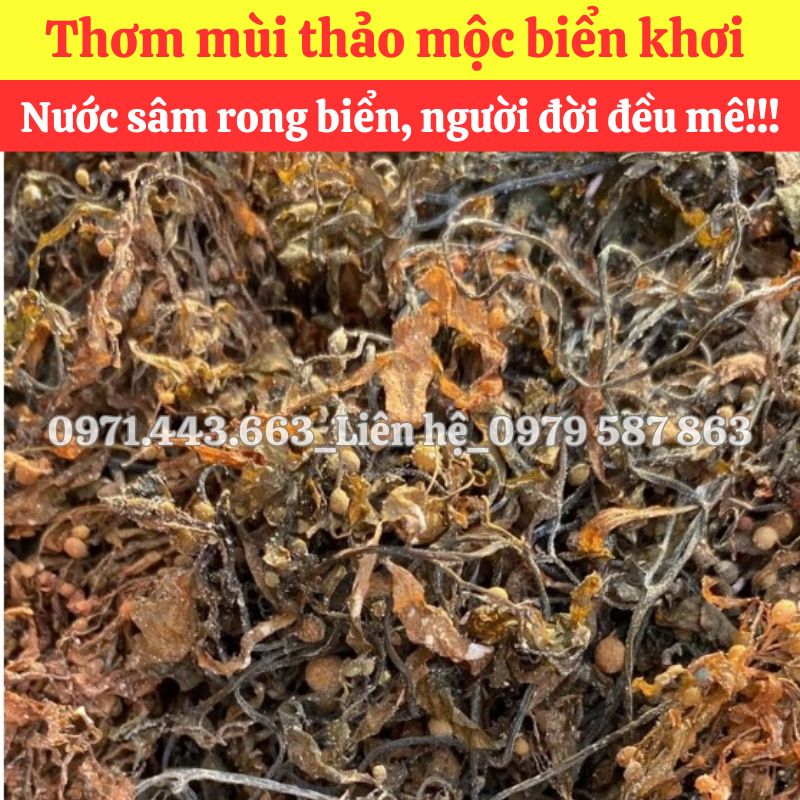 Giá nhập sỉ Rong mơ nấu sâm bí đao tại TP.HCM