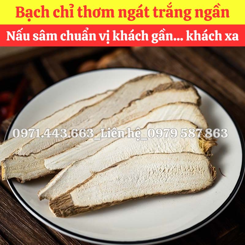 Chính sách chiết khấu khi chọn mua sỉ bạch chỉ tại THAPHACO