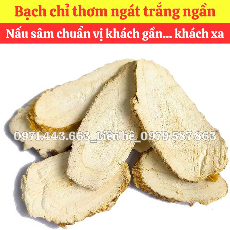 Giá bán sỉ Bạch chỉ nguyên liệu nấu nước sâm