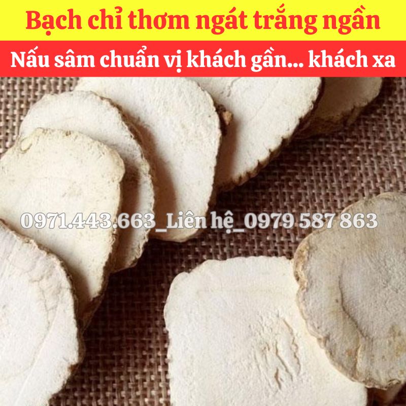 Bạch chỉ nguyên liệu nấu sâm tại THAPHACO