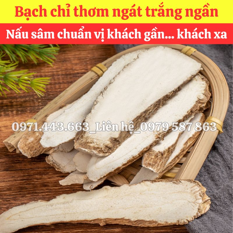 Địa chỉ bán sỉ Bạch chỉ nguyên liệu nấu nước sâm tại TP.HCM