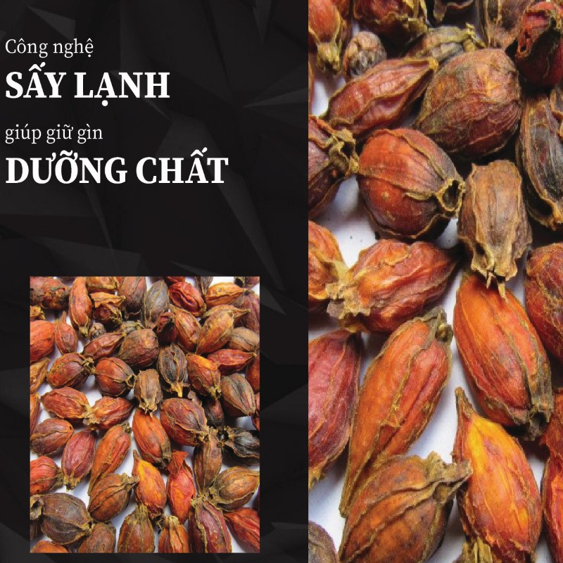 Túi 500g bột quả dành dành (chi tử) sấy khô giá rẻ