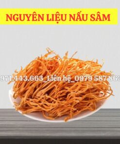 giá bán sỉ đông trùng hạ thảo nguyên liệu nấu nước sâm tại tphcm