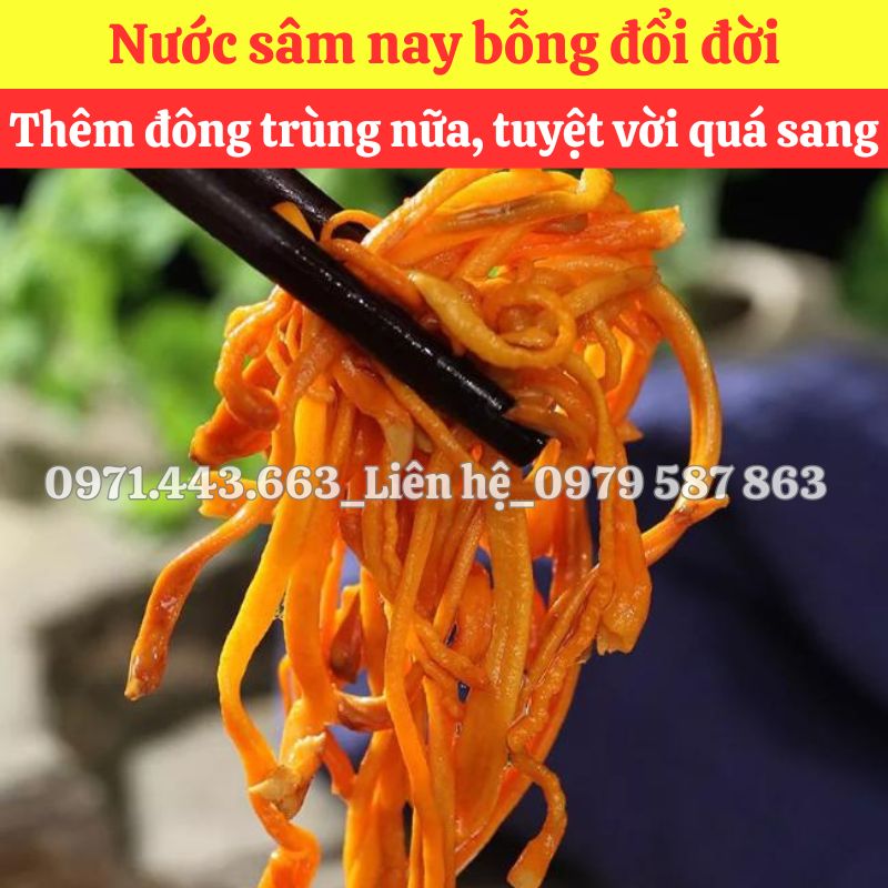 Đông trùng hạ thảo nguyên liệu nấu sâm tại THAPHACO