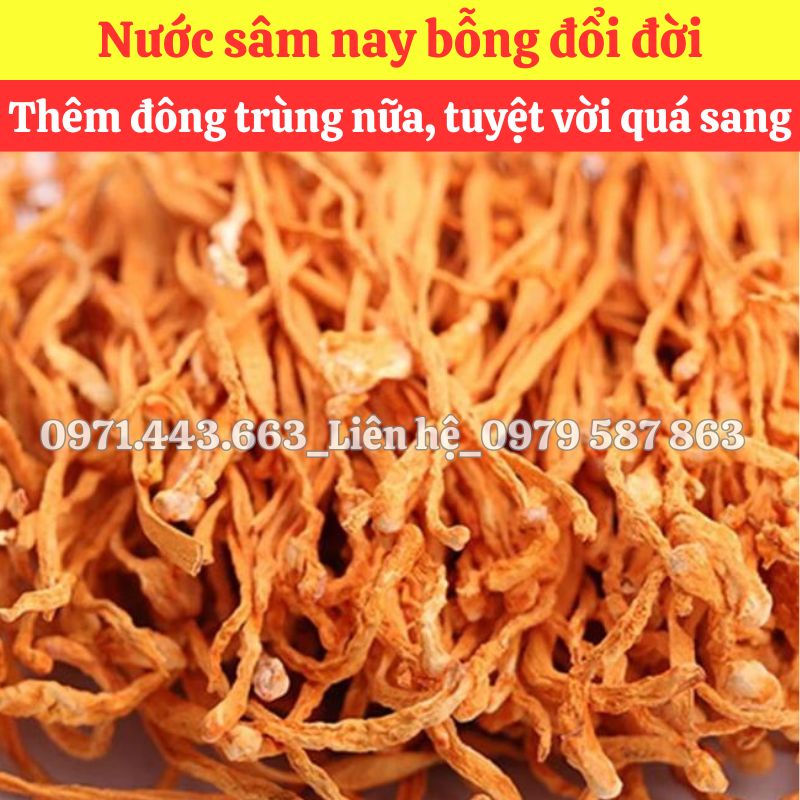 Lợi ích khi chọn mua sỉ tại THAPHACO