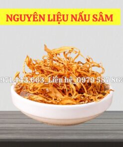 giá nhập sỉ đông trùng nhỏ nguyên liệu nấu sâm tại tphcm