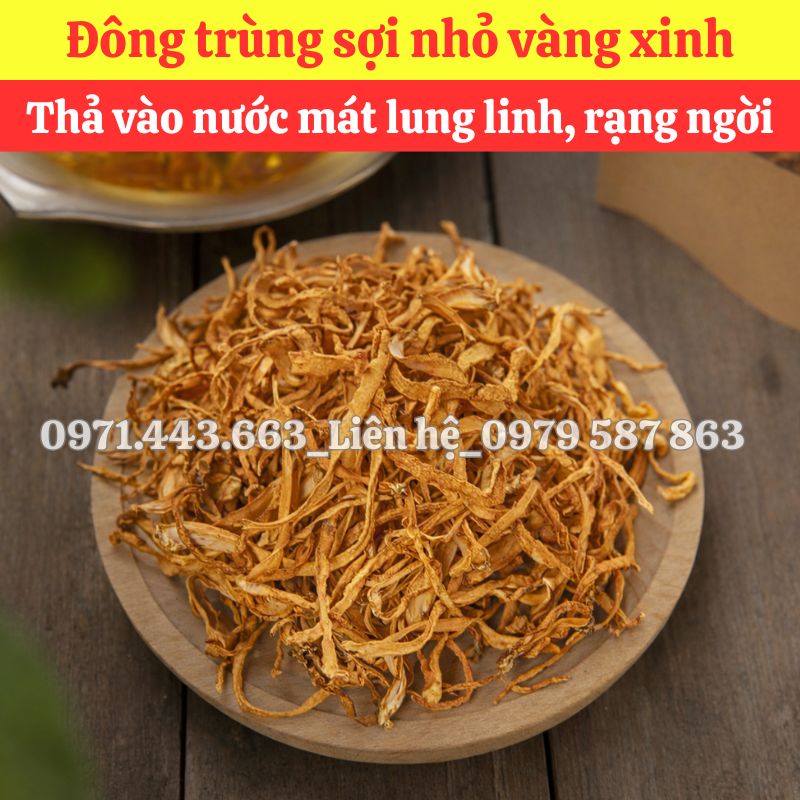 Chỗ bán sỉ Đông trùng nhỏ nguyên liệu nấu nước sâm tại TP.HCM