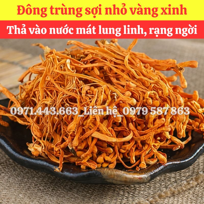 Chính sách chiết khấu khi chọn mua sỉ tại THAPHACO