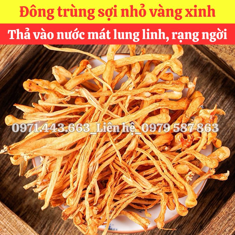 Giá bán sỉ Đông trùng nhỏ nguyên liệu nấu nước sâm