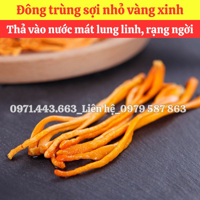 Điểm bán đông trùng nhỏ nguyên liệu nấu sâm