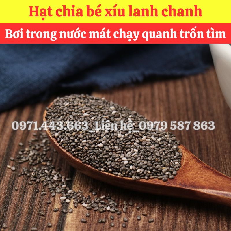 Mua sỉ hạt chia nguyên liệu nấu nước sâm
