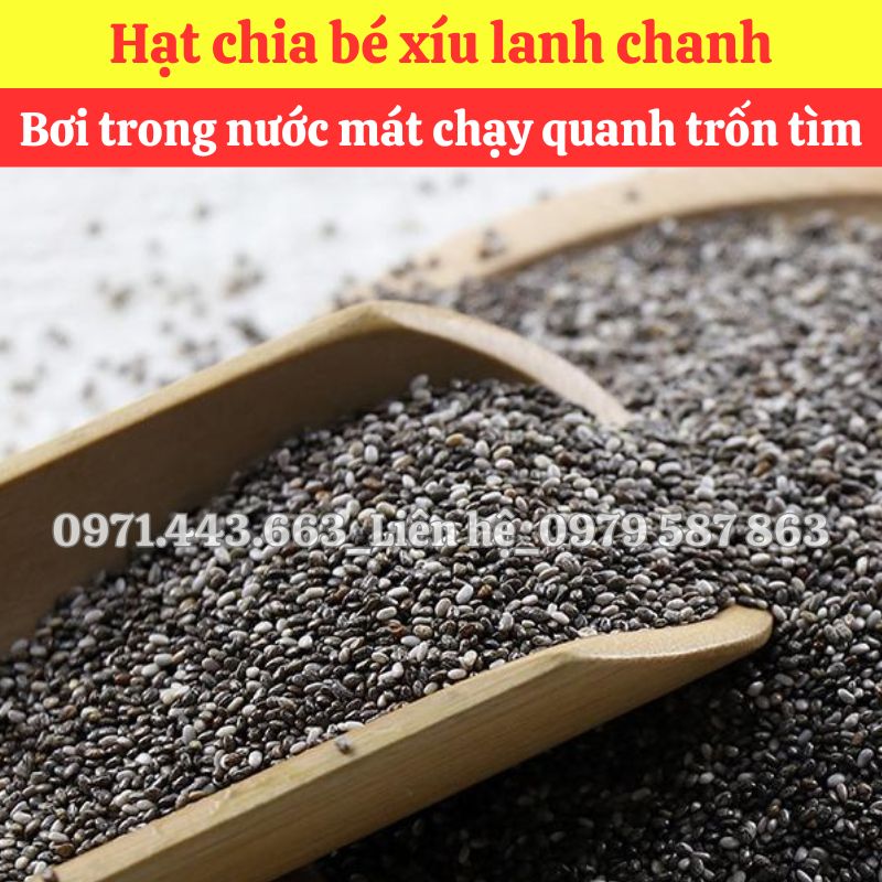 Chính sách chiết khấu khi mua sỉ hạt chia tại THAPHACO