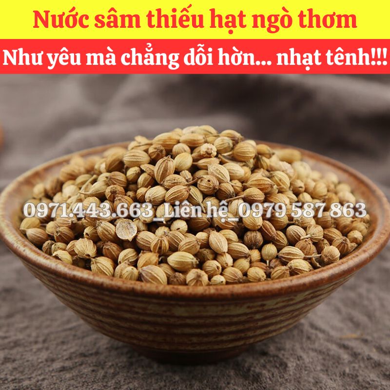 Mua hạt ngò nguyên liệu nấu nước sâm